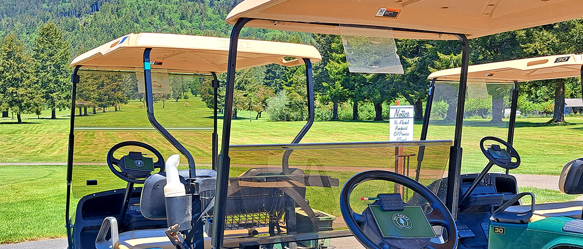 Del Norte Golf Course Golf Club and Cart Rentals